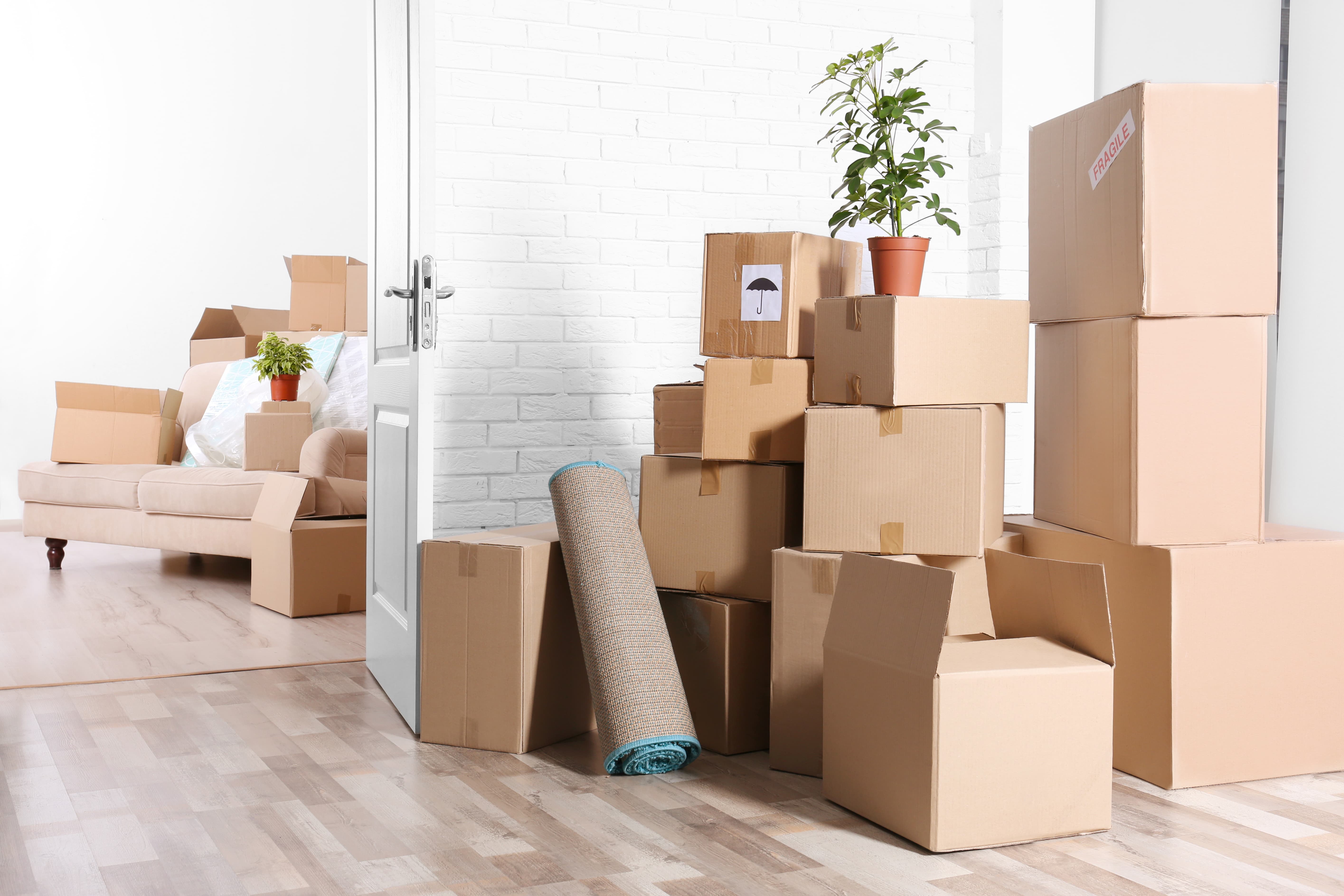 How do I plan a move