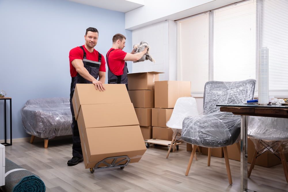 3 Great Reasons to Hire Professional Packers When Moving