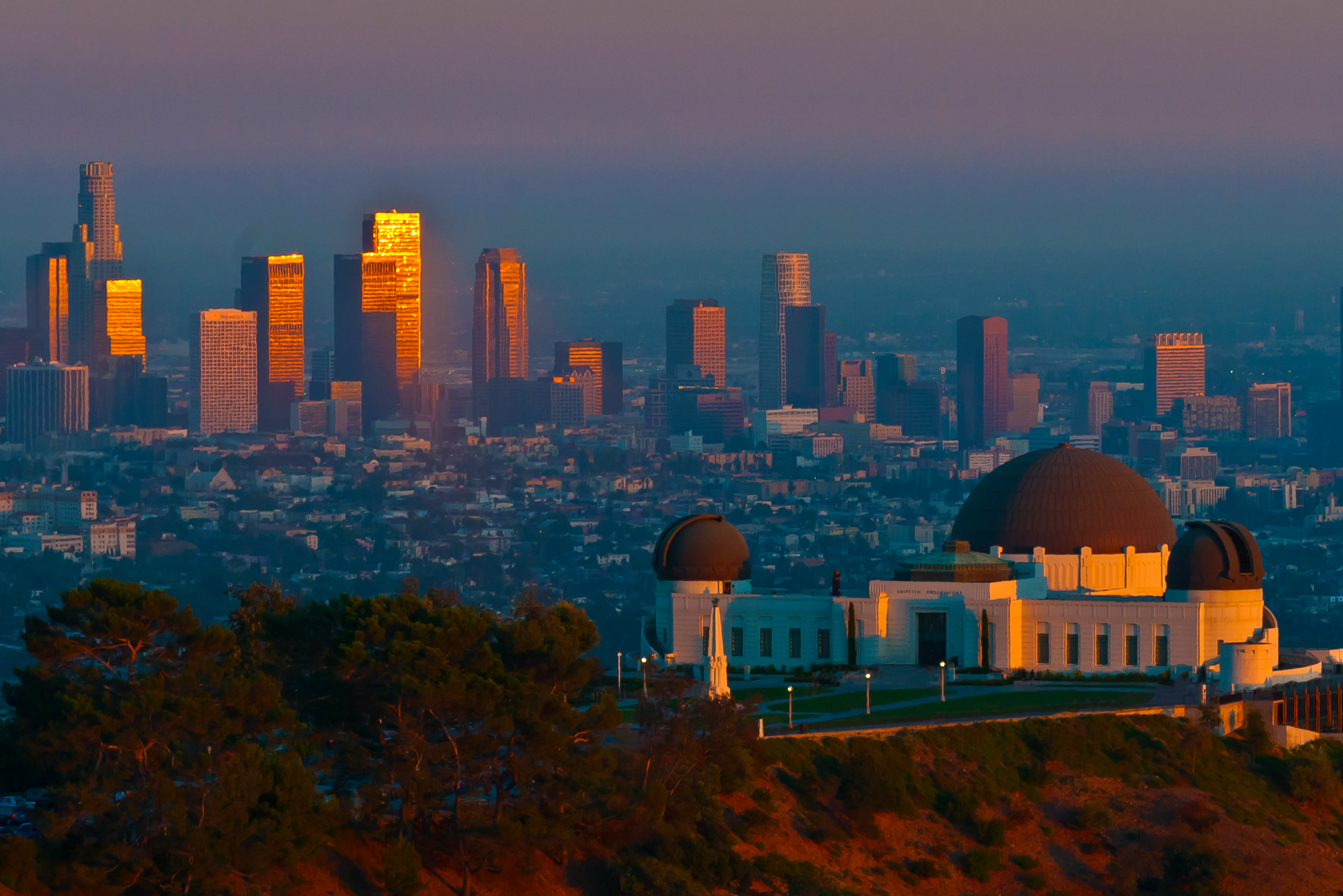 Living in LA: All the Fantastic Reasons to Move to Los Angeles