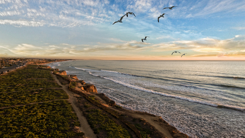 carlsbad-ocean-seagulls-sunset